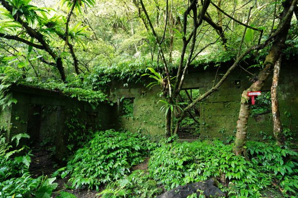 新北 石碇 西帽子岩、炙子頭山、溪邊寮山2551956