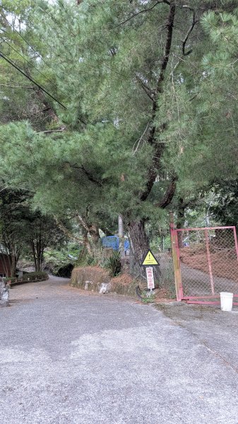 【中級山】五星級步道，谷關七雄馬崙山3021962