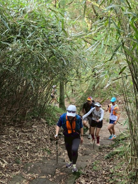 20250706_三進七星山2832361