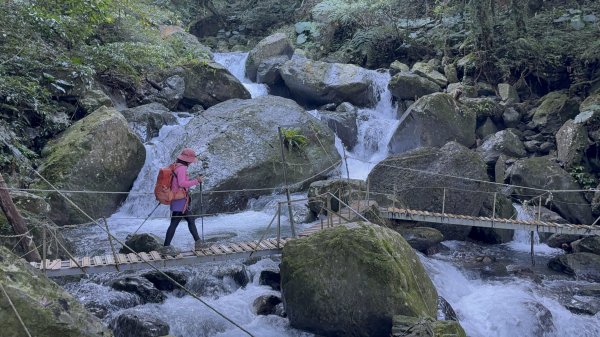 山毛櫸掉光光的 卡保逐鹿O繞 202511152937447