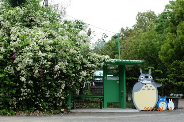 臺南 新化 大坑尾山1663939