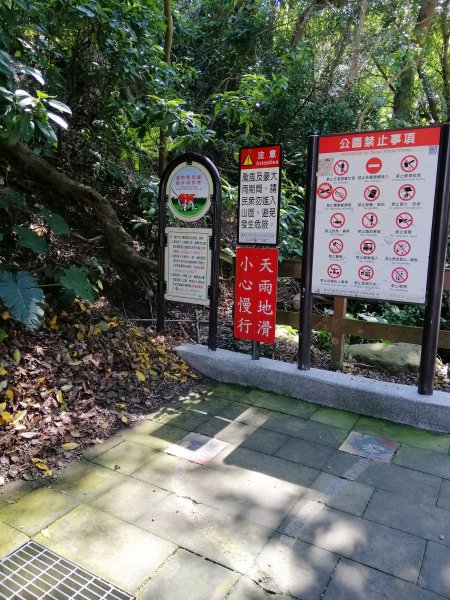 城市裡的綠意盎然。 富陽自然生態公園912113