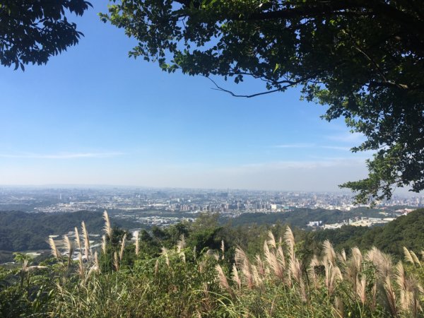 福源山步道、石雲森林步道2358031