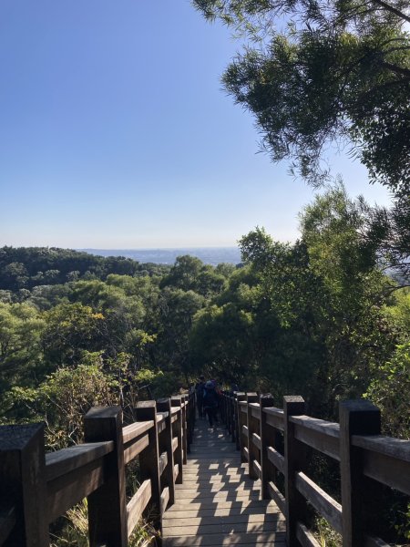 大肚萬里長城步道2973911