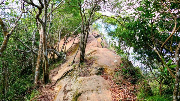 筆架山越嶺2918236