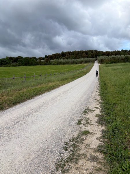 Via Francigena D3: monteriggioni-siena3072807