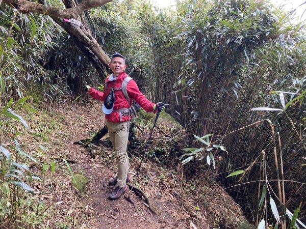 小觀音山群峰【當登山遇到惰性來襲時…】2686375