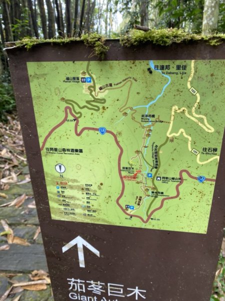 迷糊步道3062544