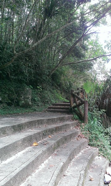 溪頭步道1990029