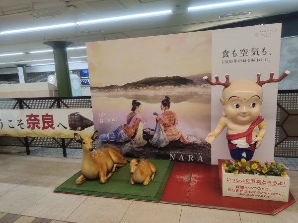 吉野山2454068
