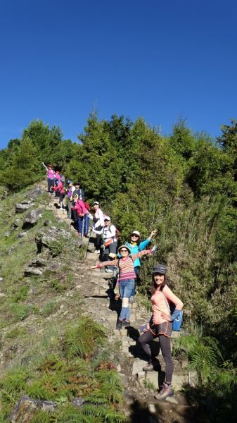 麟趾山、鹿林山、鹿林山前峰下鹿林山莊385838