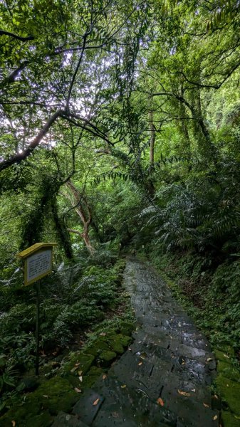 獅山古道 (獅頭山)2545660