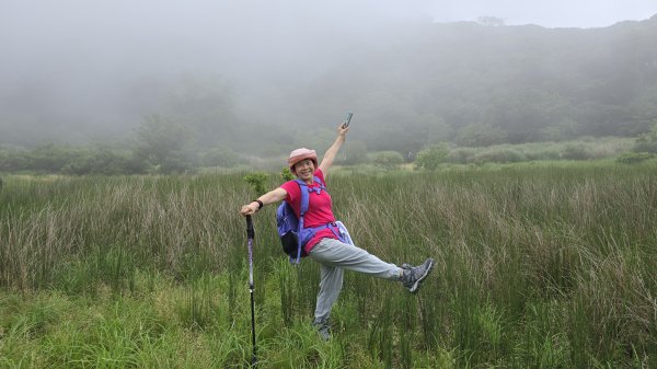 陽明山優質經典步道，興福寮古道，雲霧繚繞的向天池2815631