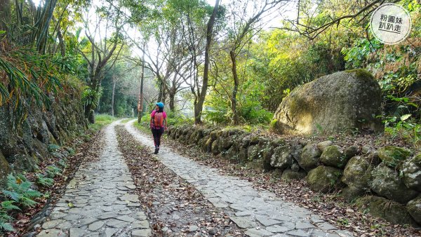 阿里山山脈越嶺步道大串走D1543645