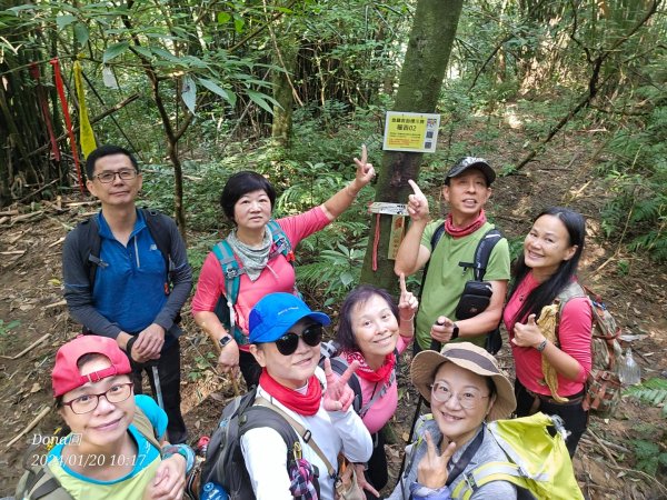 東勢大崙、東勢坑山、觀音湖山O走2986213