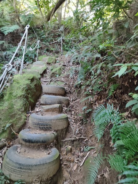 微笑山線：【鳶山山系】鳶山彩壁段2855462