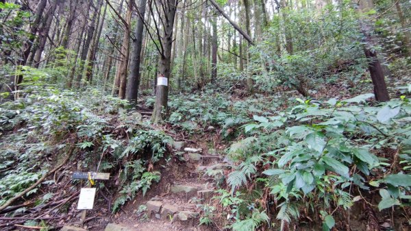 長壽山（肥崠山）鎮山之羊與飛鷹1455194