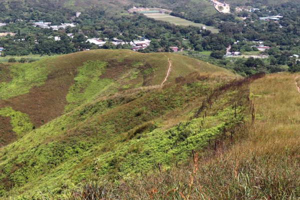 HK - 鐵坑，蛇嶺1268074