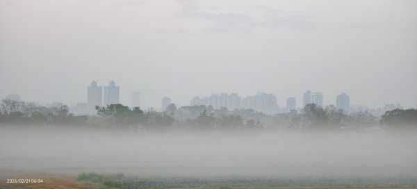 #觀音山 #夕陽 #夜景 #林梢步道 #關渡平原 #輻射霧  2/213003248