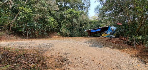 2023-04-03鳴海山、網子山登山步道2094988