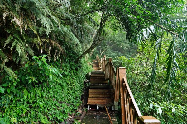 苗栗 大湖 金童山、玉女山、汶水山2806911