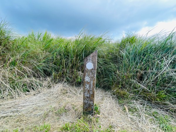 1130804面天山-向天山2567351