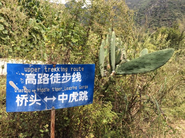 虎跳峽—高路徒步路線、白水台456626