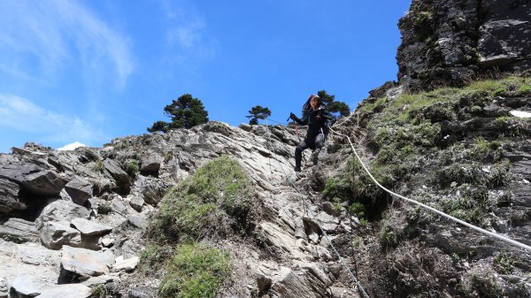 奇萊主山登山健行趣(百岳20號)2289930