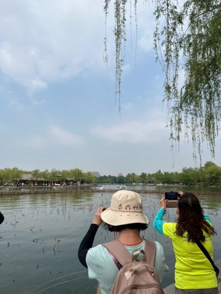 中國山東濟南大明湖、濟南古城、千佛山2775547