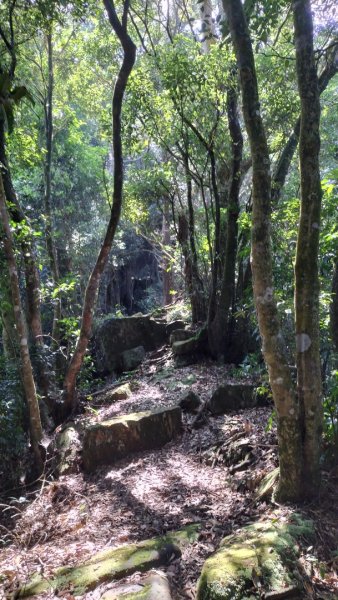 屈尺永福路…四份子產業道路…直潭山…原路折返2591249