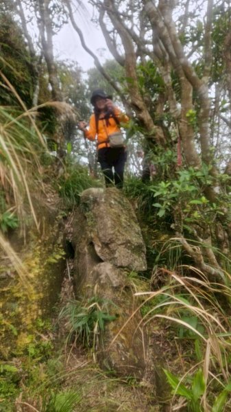 20260118五四縱走2984046