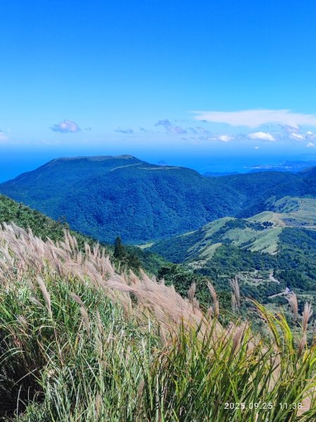 七星山二進2894974