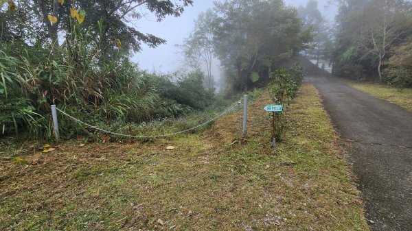 111/12/18藤枝森林園區東藤枝山、藤枝山1979577
