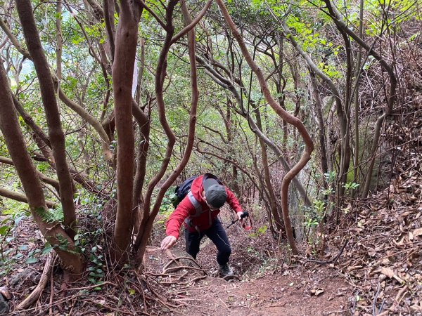 硫磺谷.龍鳳谷.大砲岩.石壇山【大巨蛋 跳起來 可以嗎?】2686323