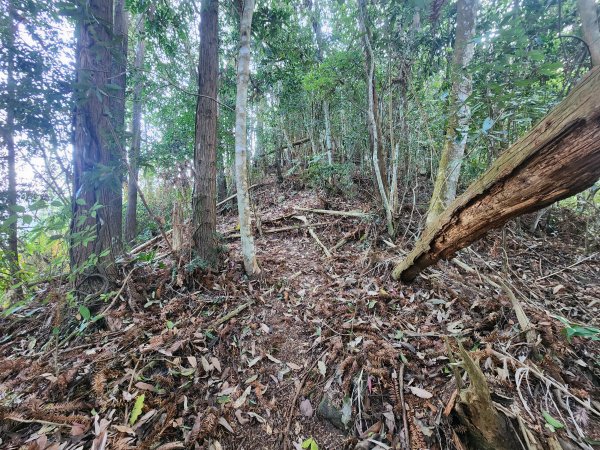 20260321貓頭山西關刀山能高瀑布O型3043795