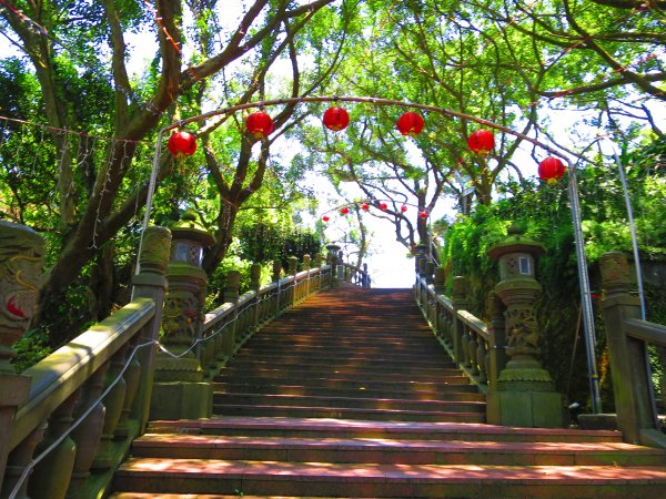 搭著捷運去旅行-白石湖賞花輕旅行610474