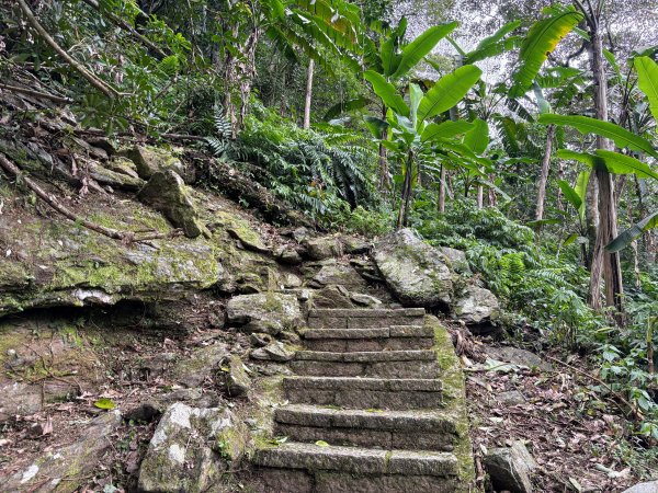 鯉魚山步道群2728335