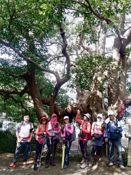 【恆春縱走】斯卡羅縱走2769707