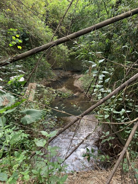 20251024台南東西崙山2925618