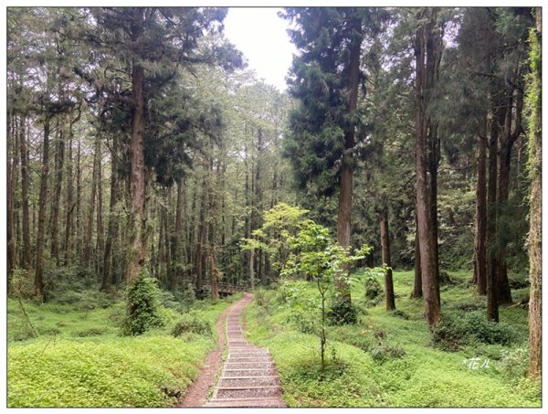 大塔山 (小百岳最高峰)2773174