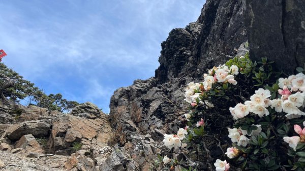 玉山群峰前五峰後四峰2610631