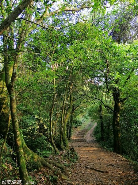 【基隆。七堵】360度環繞山景。 小百岳集起來。 編號11小百岳~姜子寮山1349686