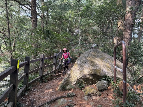 波津加山 202509142893394