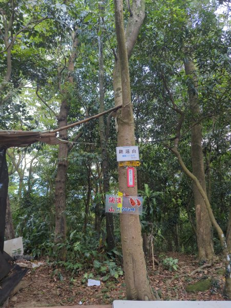 2025.08.30－微笑山線：【大棟山系】2874489