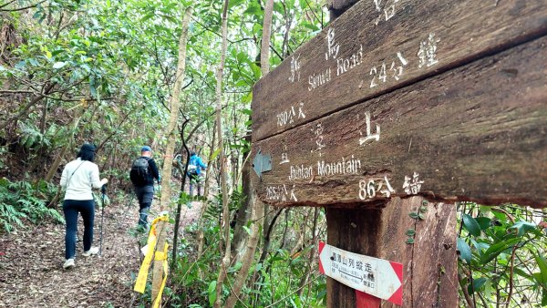 2025元旦山行 新店直潭山、二龍山O型2784958