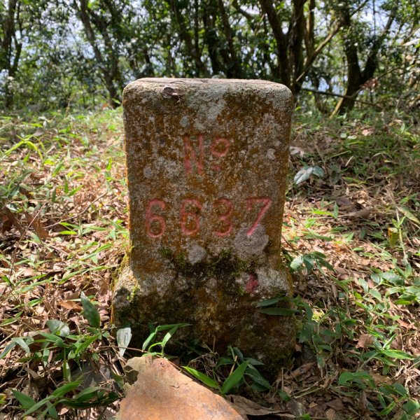 20250301屏東戶亞宇山主峰-基點峰2732965