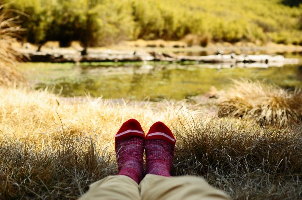 武法奈尾山天巒池872536