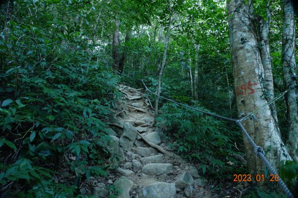 屏東 獅子鄉 里龍山(里隆山、里瀧山、鯉龍山)、下里龍山2018551