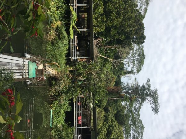 中興林場後山（鑰匙🔑認領2700431