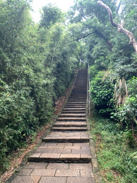 四獸山、南港山九五峰縱走1235813